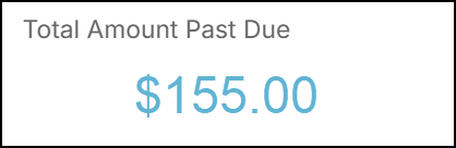 Total amount past due widget