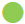 Green circle icon